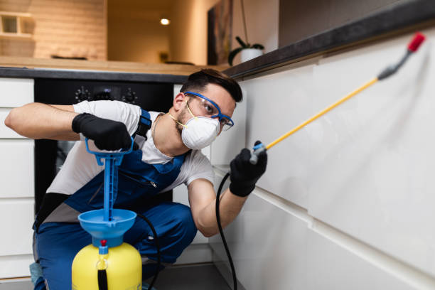 Best Best Pest Control Companies  in Kamas, UT