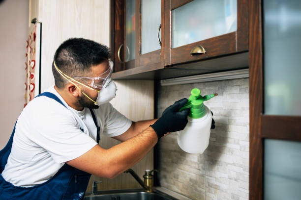 Best Flea Control Services  in Kamas, UT