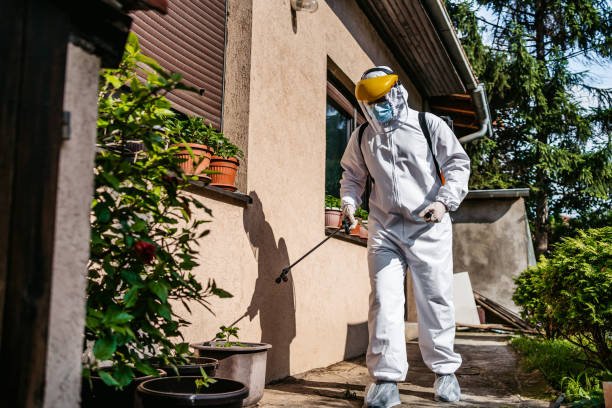 Best Emergency Pest Control  in Kamas, UT