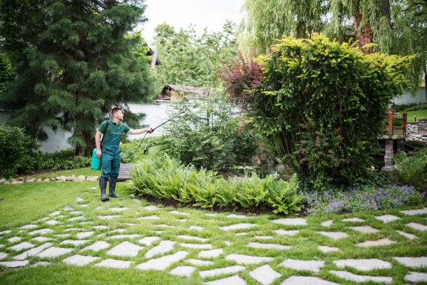 Wasp Removal Services in Kamas, UT