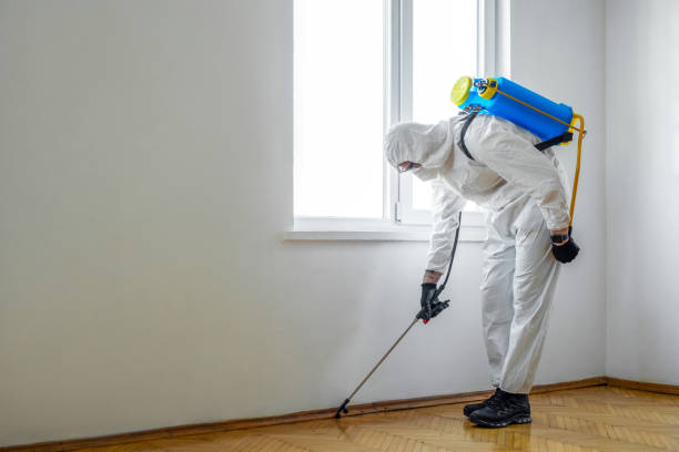 Best Bed Bug Extermination  in Kamas, UT