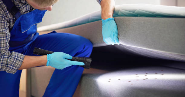 Best Bed Bug Extermination  in Kamas, UT