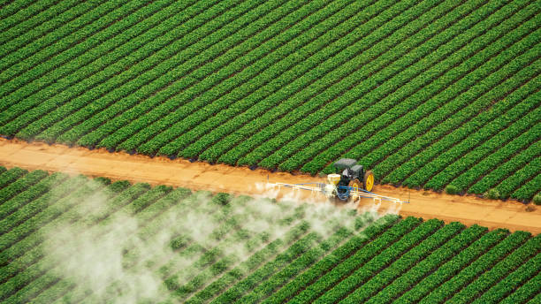 Best Pest Control for Businesses  in Kamas, UT