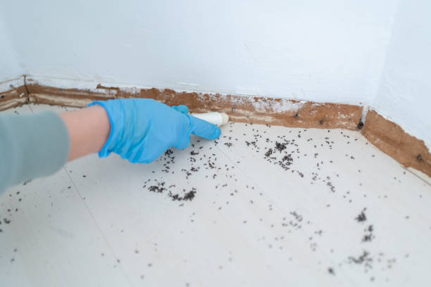 Best Pest Prevention Services  in Kamas, UT