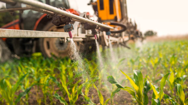 Best Pest Removal Services  in Kamas, UT