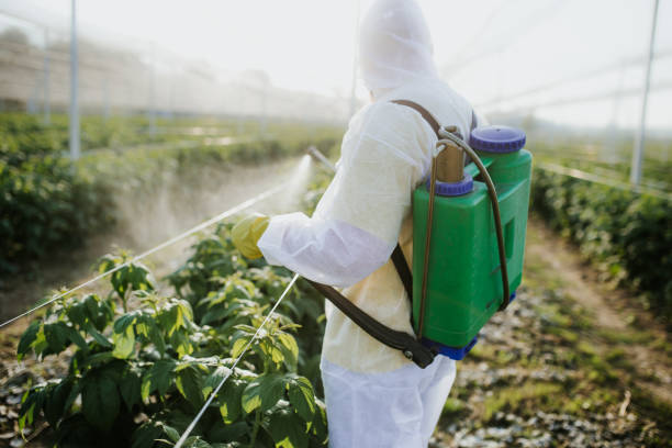 Best Local Pest Control Services  in Kamas, UT